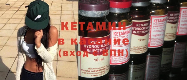 трава Абаза