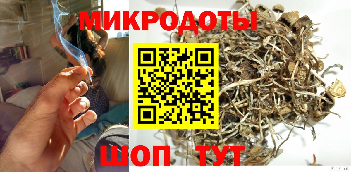Псилоцибиновые грибы Psilocybine cubensis Подольск