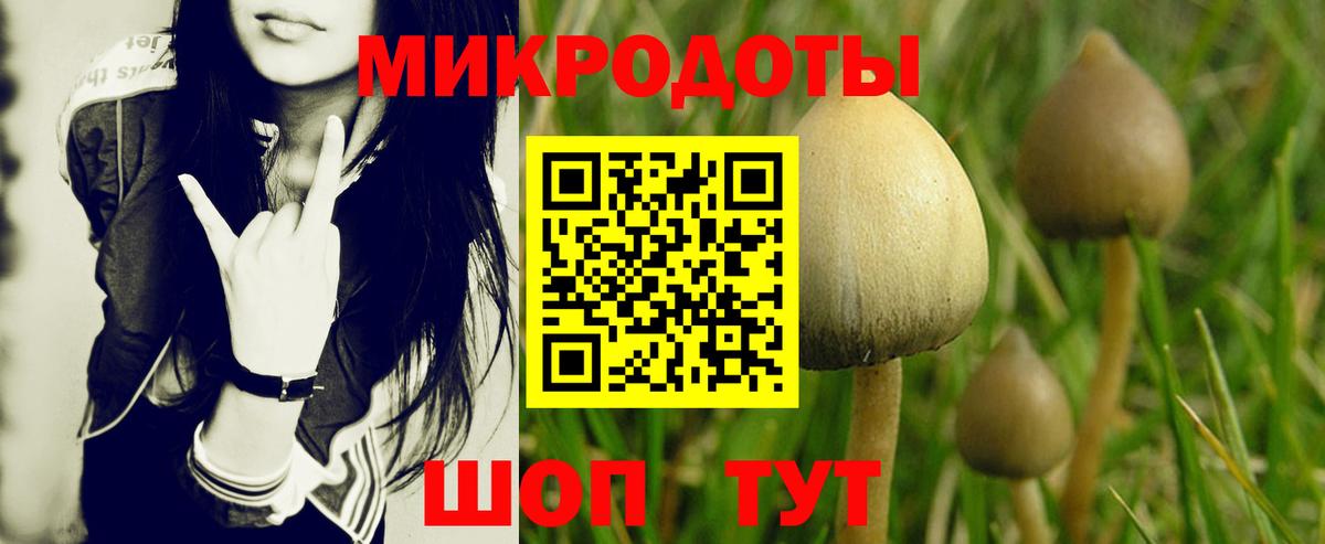 Подольск  Псилоцибиновые грибы мицелий  Галлюциногенные грибы Psilocybine cubensis  Вход с VPN 